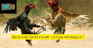 Đá Gà Trực Tuyến Five88 – Cá Cược Sôi Động 24/7